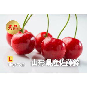 yӂ邳Ɣ[Łz s2026Nt ځuсvGi L 1kg ol FSY-2251
