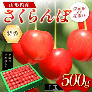 【ふるさと納税】 さくらんぼ (佐藤錦or紅秀峰) 500g L玉 特秀 手詰めギフト 山形県産 化粧箱入り 【令和8年度 先行予約】 FSY-2261