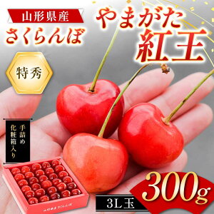【ふるさと納税】 さくらんぼ やまがた紅王 300g 3L玉 大粒 手詰めギフト 特秀 山形県産 化粧箱入り 【令和8年度 先行予約】 FSY-2265