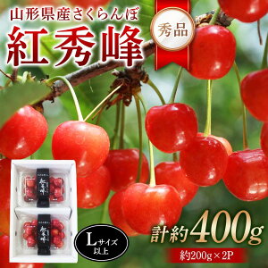 yӂ邳Ɣ[Łz ߘa8NYystzR`YځgG Gi400g(200g×2P) LTCYȏ FSY-2273