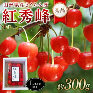 yӂ邳Ɣ[Łz ߘa8NYystzR`YځgG Gi300g LTCYȏ FSY-2274