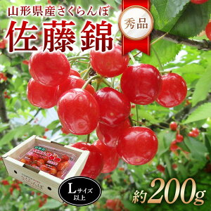 yӂ邳Ɣ[Łz ߘa8NYystzR`Yځ Gi200g LTCYȏ FSY-2275