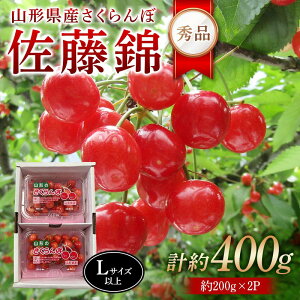 yӂ邳Ɣ[Łz ߘa8NYystzR`Yځ Gi400g(200g×2P) LTCYȏ FSY-2276