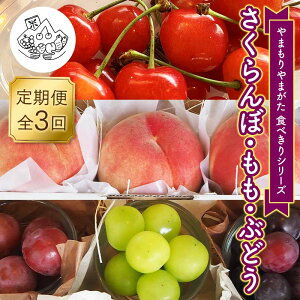 yӂ邳Ɣ[Łz ys\ 2026NxzsHׂV[Yt`ځEEԂǂ` FSY-2330