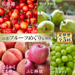 【ふるさと納税】 《先行予約 2026年発送》山形フルーツめぐり定期便【全5回】 FSY-2334