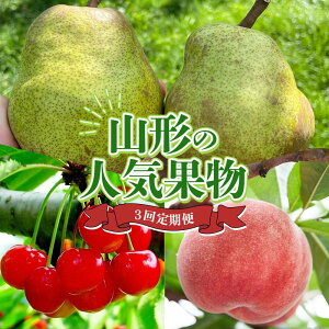 yӂ邳Ɣ[Łz R`̐lCʕ3 FSY-2339