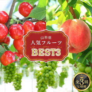 yӂ邳Ɣ[Łz y2026Ns\zR`lCt[cxXg3 S3 FSY-2341