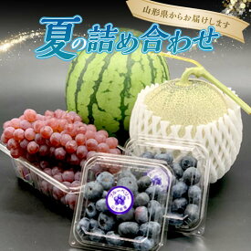 【ふるさと納税】 【令和8年発送】期間限定 夏の詰め合わせ アンデスメロン・小玉すいか・デラウエア・ブルーベリー FSY-2383