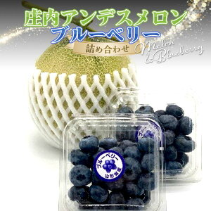 yӂ邳Ɣ[Łz yߘa8NzԌ AfXƃu[x[lߍ킹 FSY-2385