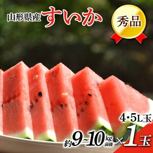 yӂ邳Ɣ[Łz ss\ 2026N7{`8{tR`Y  Gi 1 i9`10kgOj XCJ  Z fU[g t[c ʕ  ʎ Hi R` FSY-2394