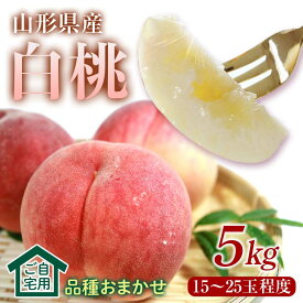【ふるさと納税】 《先行予約2026年度発送》♪フルーツ王国山形♪白桃5kg箱 満杯詰 ご自宅用 もも モモ 桃 デザート フルーツ 果物 くだもの 果実 食品 山形県 FSY-2466