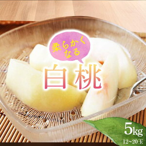 �y�ӂ邳�Ɣ[�Łz �s2026�N�Y��s��t�t�R�`���Y ���� �G�i 5kg�i12�ʁ`20�ʁj �i�킨�܂��� ��炩���Ȃ铍 ������ �쒆������ �ɒB���� �� ���� ���� �� �f�U�[�g �t���[�c �ʕ� �������� 