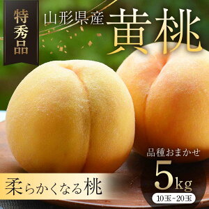 �y�ӂ邳�Ɣ[�Łz �s2026�N�Y��s��t�t�R�`���Y���� 5kg(10�`20��) �i�킨�܂��� ���G�i ���� �ʕ� �t���[�c FSY-2521