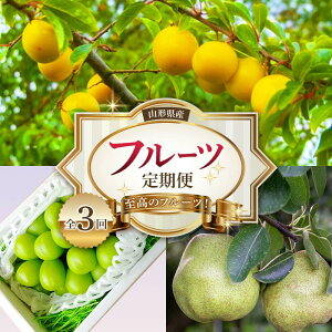 yӂ邳Ɣ[Łzs2026NYsttR` ̃t[cI R`Y t[c S3 FSY-2522