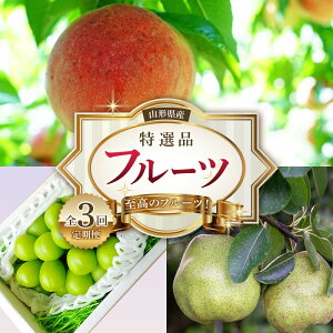 yӂ邳Ɣ[Łzs2026NYsttR` ̃t[cI R`Y Iit[c S3 FSY-2523