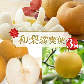 【ふるさと納税】 【2026年先行予約】和梨満喫便（全3回） FSY-2543