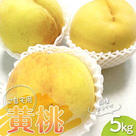 【ふるさと納税】 【先行予約 2026年度発送】フルーツ王国山形♪山形 黄桃 5kg ご自宅用 もも モモ 桃 ピーチ きもも おうとう フルーツ 果物 くだもの ギフト 甘い FSY-2552