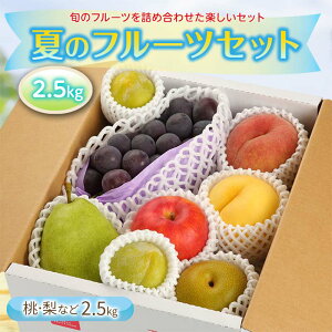 yӂ邳Ɣ[Łz ss\ 2026NxtẴt[cZbg 2.5kg    fU[g t[c ʕ  ʎ Hi R` FSY-2563