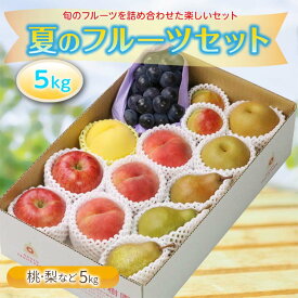 【ふるさと納税】 《先行予約 2026年度発送》夏のフルーツセット5kg もも モモ 桃 デザート フルーツ 果物 くだもの 果実 食品 山形県 FSY-2564