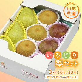 【ふるさと納税】 《先行予約 2026年度発送》【王将果樹園】いろどり梨セット なし ナシ 梨 デザート フルーツ 果物 くだもの 果実 食品 山形県 FSY-2565