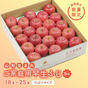 yӂ邳Ɣ[Łz ss\ 2026Nxtyʎzƒpӂ 5kg  S ь fU[g t[c ʕ  ʎ Hi R` FSY-2566