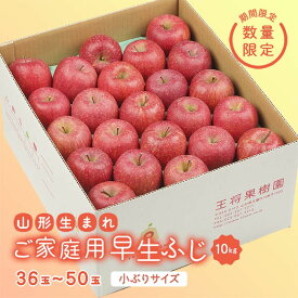 【ふるさと納税】 《先行予約 2026年度発送》【王将果樹園】ご家庭用早生ふじ 10kg りんご リンゴ 林檎 デザート フルーツ 果物 くだもの 果実 食品 山形県 FSY-2567