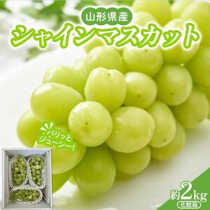 yӂ邳Ɣ[Łz R`Y VC}XJbg2kg ϔ Gi (3`4[) yst2026N9z FSY-2608