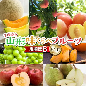 �y�ӂ邳�Ɣ[�Łz ���s�\��ߘa8�N�x������ 2�퐷�聚�R�`������׃t���[�c����� �S4�� FSY-2651