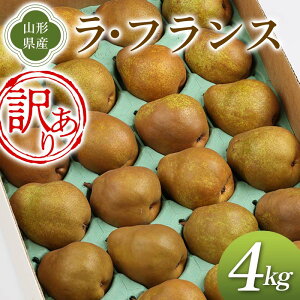 �y�ӂ邳�Ɣ[�Łz �s��s�\�� 2026�N�x�����t�󂠂� ���E�t�����X 4kg ���ƒ�p �Ȃ� �i�V �� �f�U�[�g �t���[�c �ʕ� �������� �ʎ� �H�i �R�`�� FSY-2662