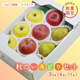 【ふるさと納税】《先行予約 2026年度発送》【王将果樹園】秋のいろどりセット 3kg なし ナシ 梨 デザート フルーツ 果物 くだもの 果実 食品 山形県 FSY-2691