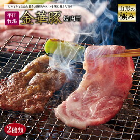 【ふるさと納税】山形の極み 平田牧場 金華豚 焼肉用 F2Y-0294