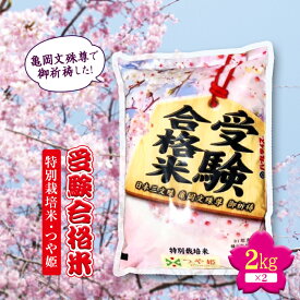 【ふるさと納税】令和4年度産 日本三文殊 亀岡文殊 受験合格米（特別栽培米 つや姫） F2Y-1115