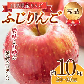 【ふるさと納税】《2024年先行予約》りんご「ふじりんご」 秀品 20～36玉 10kg FSY-0558