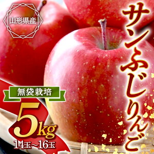 yӂ邳Ɣ[Łz s2025NtTӂ 5kg FSY-0867