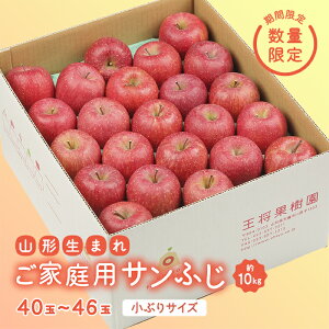 yӂ邳Ɣ[Łzss\ 2025NxtyʎzƒpTӂ 10kg  S ь fU[g t[c ʕ  ʎ Hi R` FSY-1907