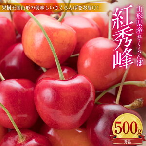 yӂ邳Ɣ[Łz ss\ 2026N6{tR`YڍgG Gi 2L 500gpbN ϔ FSY-0008