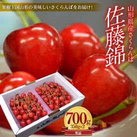 【ふるさと納税】《先行予約 令和6年6月中旬発送》山形県産さくらんぼ佐藤錦 秀品 L玉 700gパック 化粧箱入り FSY-0009
