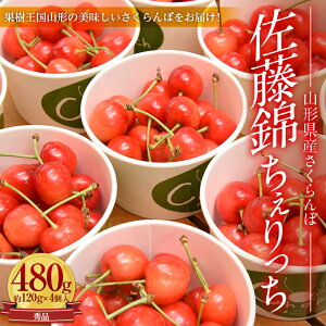 yӂ邳Ɣ[Łz ss\ 2026N6{tR`Yڍ Gi Lʈȏ  120g × 4 FSY-0010
