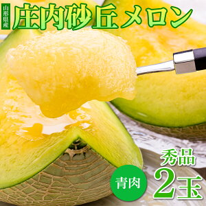 【ふるさと納税】 ≪先行予約令和8年度発送≫ 夏ギフト アンデスメロン(青肉) 秀2L 2玉【みちのくギフト】 青肉メロン メロン 青肉 デザート フルーツ 果物 くだもの 果実 食品 山形県 FSY-0