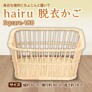 yӂ邳Ɣ[Łzhairu E߂ Square-180 F2Y-5067