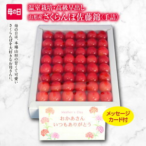 �y�ӂ邳�Ɣ[�Łz�s��s�\�� 2026�N�x�����t�t���[�c�����R�` �R�`�������� ������ ���G�i L�T�C�Y300g ��l ��̓����b�Z�[�W�J�[�h�t FSY-0412