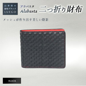 yӂ邳Ɣ[ŁzLUEGO Alabasta AoX^ ܂z KȂ^ubN F2Y-2392