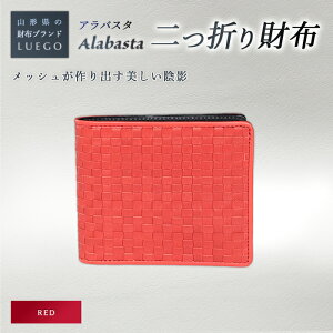 yӂ邳Ɣ[ŁzLUEGO Alabasta AoX^ ܂z KȂ^bh F2Y-2393