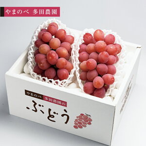 �y�ӂ邳�Ɣ[�Łz��2026�N ��s�\���N�C�[���j�[�i 2�`3�[���� ��܂̂ב��c�_���̂Ԃǂ� �Ԃǂ� �u�h�E ���� �f�U�[�g �t���[�c �ʕ� �������� �ʎ� �H�i �R�`�� F2Y-2608