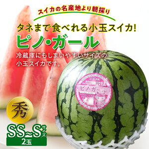 【ふるさと納税】 《先行予約 2026年度発送》タネまで食べれる小玉スイカ!【スイカの名産地より朝採り】ピノ・ガール スイカ すいか 西瓜 デザート フルーツ 果物 くだもの 果実 食品 山形