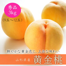 【ふるさと納税】《令和6年産先行受付》山形県産 黄金桃 3kg ※品種玉数おまかせ FSY-0018