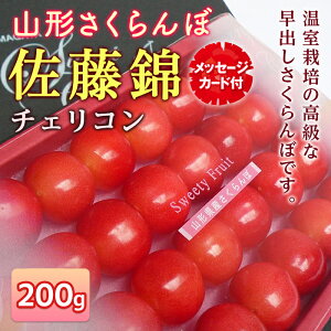 �y�ӂ邳�Ɣ[�Łz �s��s�\�� 2026�N�x�����t����̓����R�`�������� ������ ���G�i L�T�C�Y 200g �`�F���R�����b�Z�[�W�J�[�h�t FSY-2213