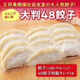 【ふるさと納税】 大判48餃子 F2Y-4636