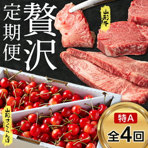 yӂ邳Ɣ[Łz ss\ 2026NxtR`ƎR`ځґ Ai4j FSY-0125