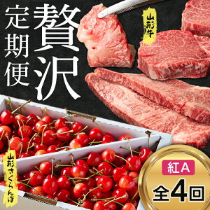 yӂ邳Ɣ[Łz ss\ 2026NxtR`ƎR`ځґ gAi4j FSY-0126